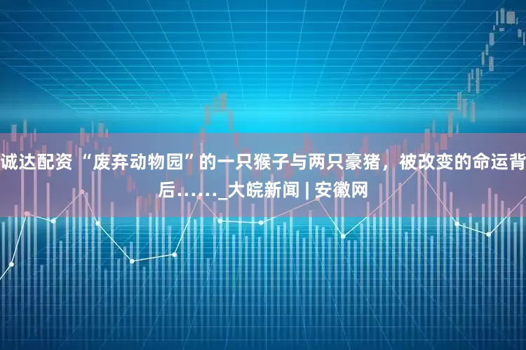 诚达配资 “废弃动物园”的一只猴子与两只豪猪，被改变的命运背后……_大皖新闻 | 安徽网