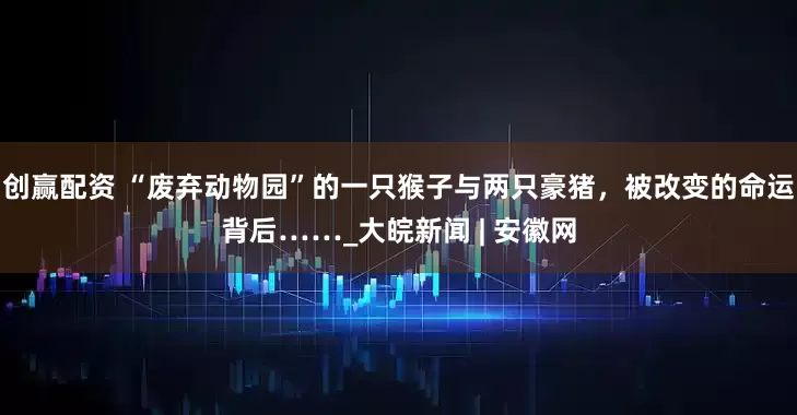创赢配资 “废弃动物园”的一只猴子与两只豪猪，被改变的命运背后……_大皖新闻 | 安徽网