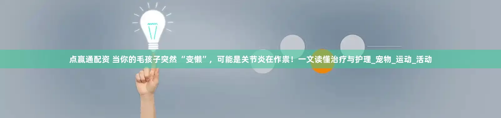 点赢通配资 当你的毛孩子突然 “变懒”，可能是关节炎在作祟！一文读懂治疗与护理_宠物_运动_活动