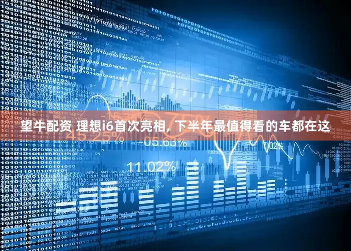 望牛配资 理想i6首次亮相, 下半年最值得看的车都在这