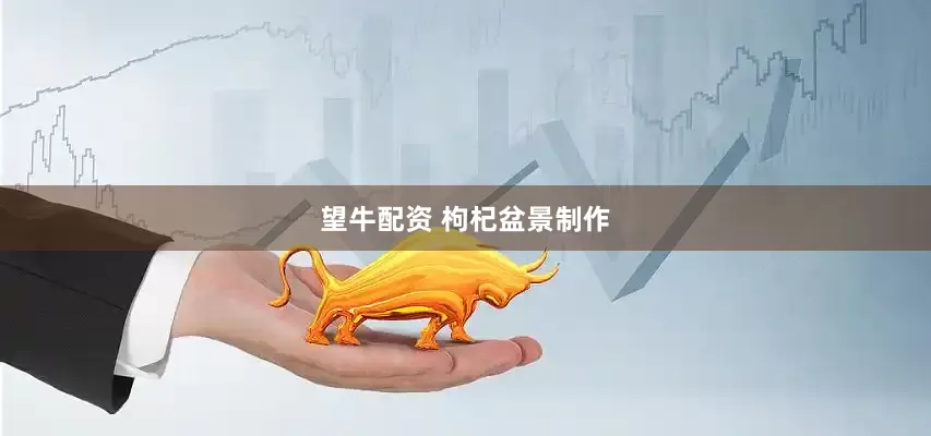 望牛配资 枸杞盆景制作