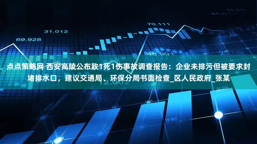 点点策略网 西安高陵公布致1死1伤事故调查报告：企业未排污但被要求封堵排水口，建议交通局、环保分局书面检查_区人民政府_张某