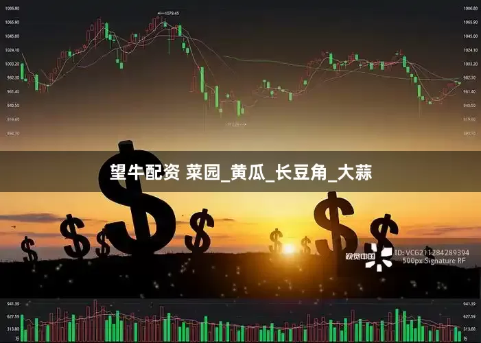 望牛配资 菜园_黄瓜_长豆角_大蒜