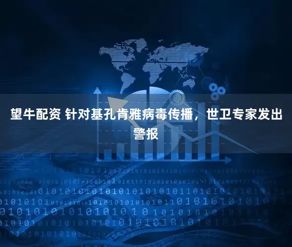 望牛配资 针对基孔肯雅病毒传播，世卫专家发出警报
