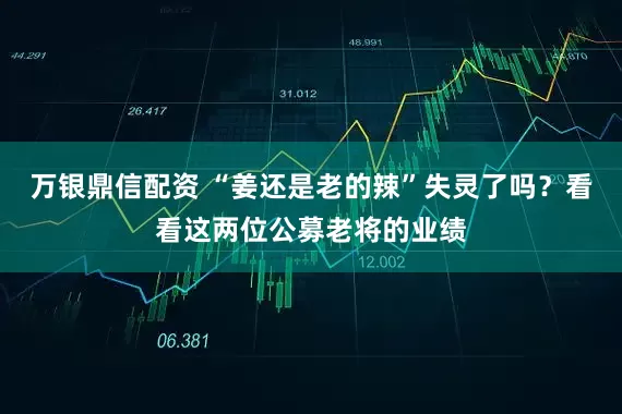 万银鼎信配资 “姜还是老的辣”失灵了吗？看看这两位公募老将的业绩