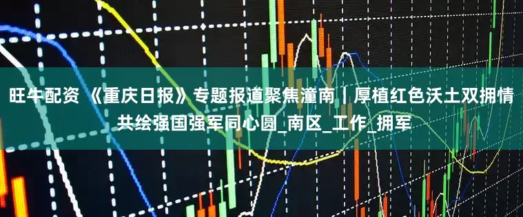 旺牛配资 《重庆日报》专题报道聚焦潼南|厚植红色沃土双拥情 共绘强国强军同心圆_南区_工作_拥军